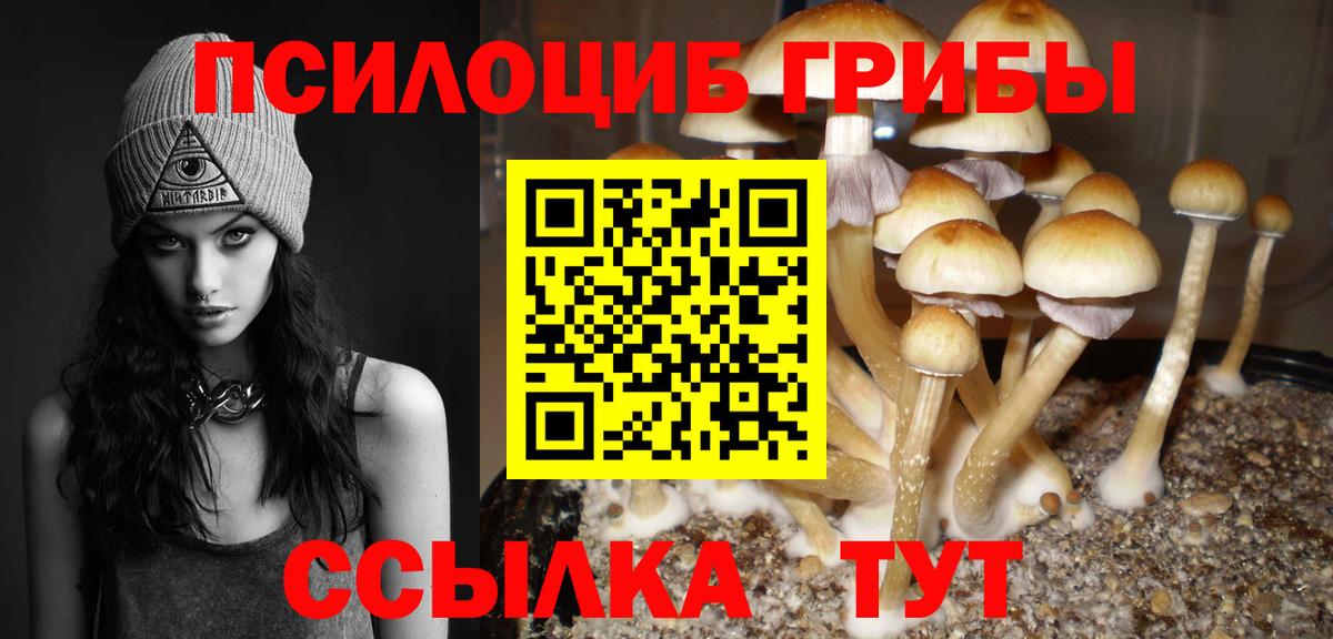 Галлюциногенные грибы мухоморы Среднеуральск