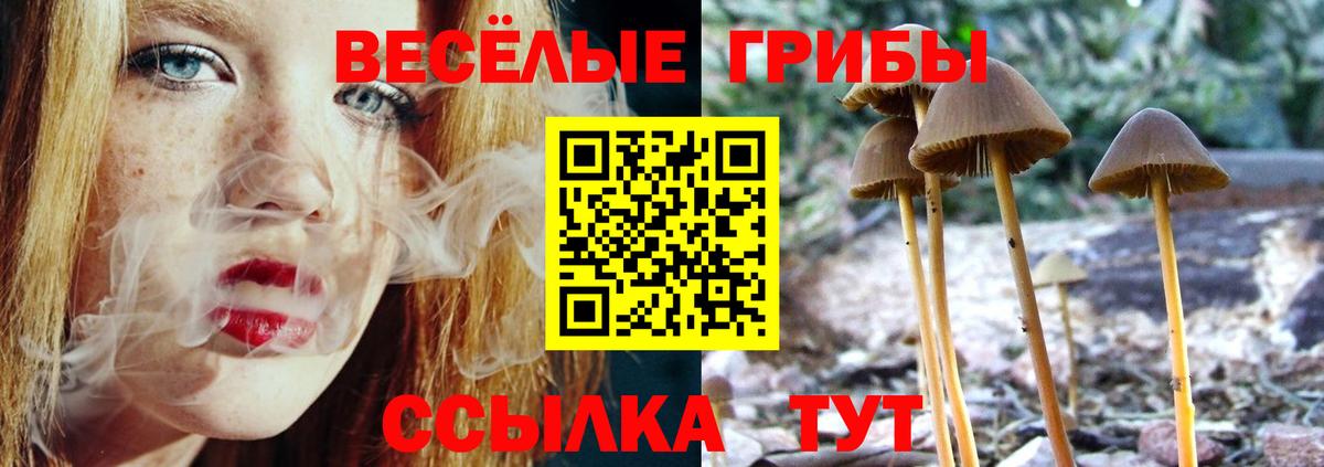 Галлюциногенные грибы Psilocybine cubensis  Вход с VPN  Среднеуральск  Галлюциногенные грибы мухоморы 